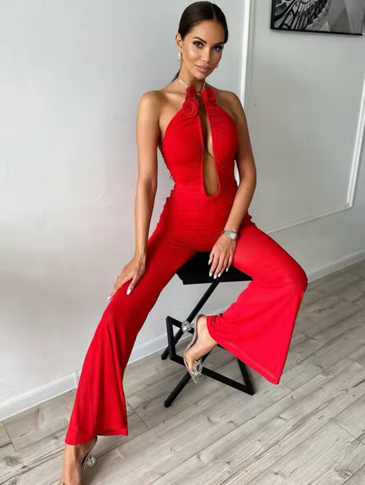 Mesh sexy jumpsuit