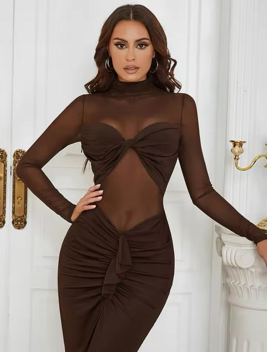 Elegant mesh dress